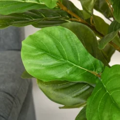 HOMCOM 5FT Artificial Fiddle Leaf Fig Tree, Faux Decorative Plant In Nursery Pot For Indoor Or Outdoor Décor -Homcom Shop GUEST 3142cda3 86d1 4436 8dad 9741a107ffa0